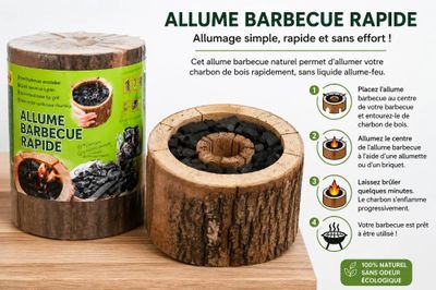 une photo d'un barbecue fabriqué à partir d'une souche d'arbre