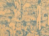 a blue and yellow drawing of a wooded area with trees