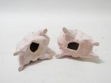 two white shells with holes in them on a white surface