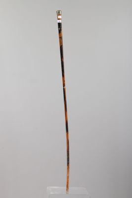 un grand vase en verre d'où sort un bâton en bois