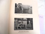 un livre contenant des images de vaches, posé sur une table