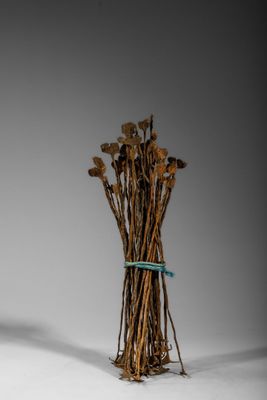 un bouquet de fleurs séchées dans un vase posé sur une table