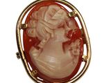 an image of a woman ' s profile in a red cameo broochle