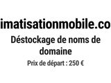 Photo 1/1 du lot