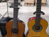 deux guitares posées sur un support dans la pièce