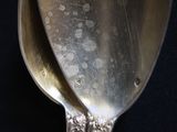 a silver spoon with a silver handle on a black background