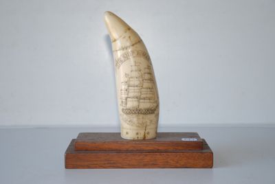 une petite dent de baleine en ivoire posée sur un socle en bois