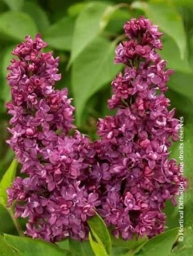 Destockage & Invendus