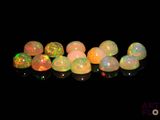 a group of oplites sitting on top of a black surface