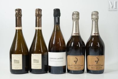 six bouteilles de vin sont alignées sur une surface blanche