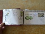 une personne tenant un livre ouvert sur lequel figurent des timbres