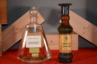 a bottle of ginepi next to a glass bottle of ginepi