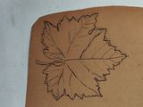 a drawing of a leaf on a piece of paper