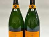 two bottles of champagne on a white background