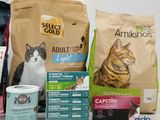 a cat that is sitting next to a bag of cat food