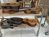 many guitars on a shelf in a room