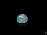 an oplite in the dark with a black background