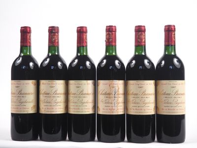 six bouteilles de vin sont alignées sur une surface blanche