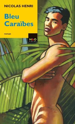 the cover of the novel blue caribes by nicolas henri