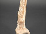 Photo 6/15 du lot