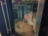 un petit réfrigérateur qui contient beaucoup de nourriture