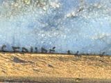 painting of a group of birds standing on a beach next to the ocean