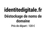 Photo 1/1 du lot