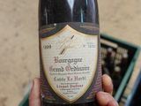 a person holding a bottle of wine in their hand