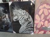 three paintings of a tiger on display in a store window