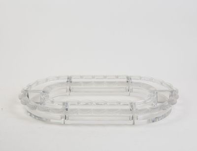 clear acrylic oval tray with handles