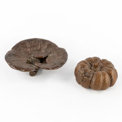 des champignons séchés posés sur une surface blanche, avec un fond blanc
