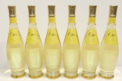 six bouteilles de limonade sont alignées sur une surface blanche
