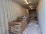 Plusieurs caisses en bois sont alignées à l'intérieur d'un conteneur d'expédition