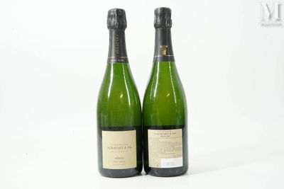 deux bouteilles de vin posées l'une à côté de l'autre sur une surface blanche