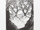 a black and white drawing of two trees in a forest