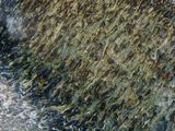 Photo 3/3 du lot