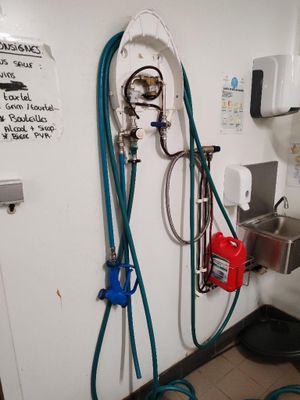 les tuyaux sont fixés au mur d'une salle de bains équipée d'un lavabo et d'un robinet