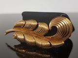 a close up of a gold brooch with a feather on it