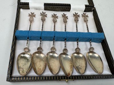 six spoons that are in a case with a blue handle