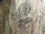 a close up of a statue of a man on a tree stump