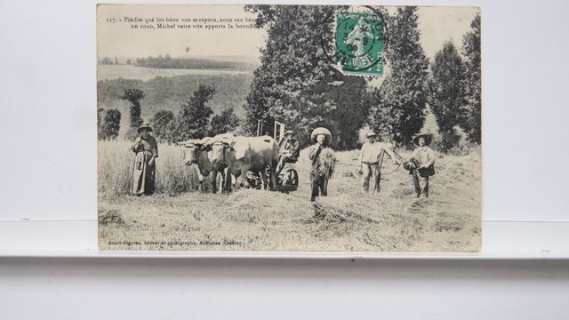 Types Creusois : Scène de moisson (Éd. Annet Ségeron 117). Rare !...