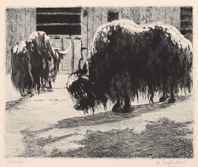 un dessin en noir et blanc représentant un yack dans la neige