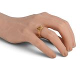 someone is wearing a gold ring on their left hand
