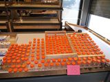 bottles of orange juice are lined up on a conveyor belt in a factory