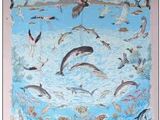 tableau représentant des dauphins et des mouettes dans l'eau, avec un oiseau en arrière-plan