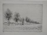 un dessin en noir et blanc représentant un arbre au milieu d'un champ