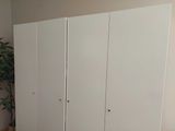 an image of a closet in a bedroom with a plant in the corner