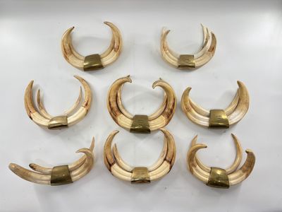 six paires de cornes plaquées or sur un fond blanc