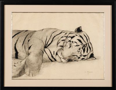 dessin représentant un tigre endormi sur le sol, dans un cadre noir