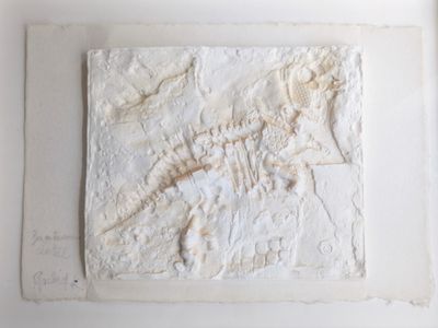 une assiette blanche sur laquelle est représenté un fossile de dinosaure